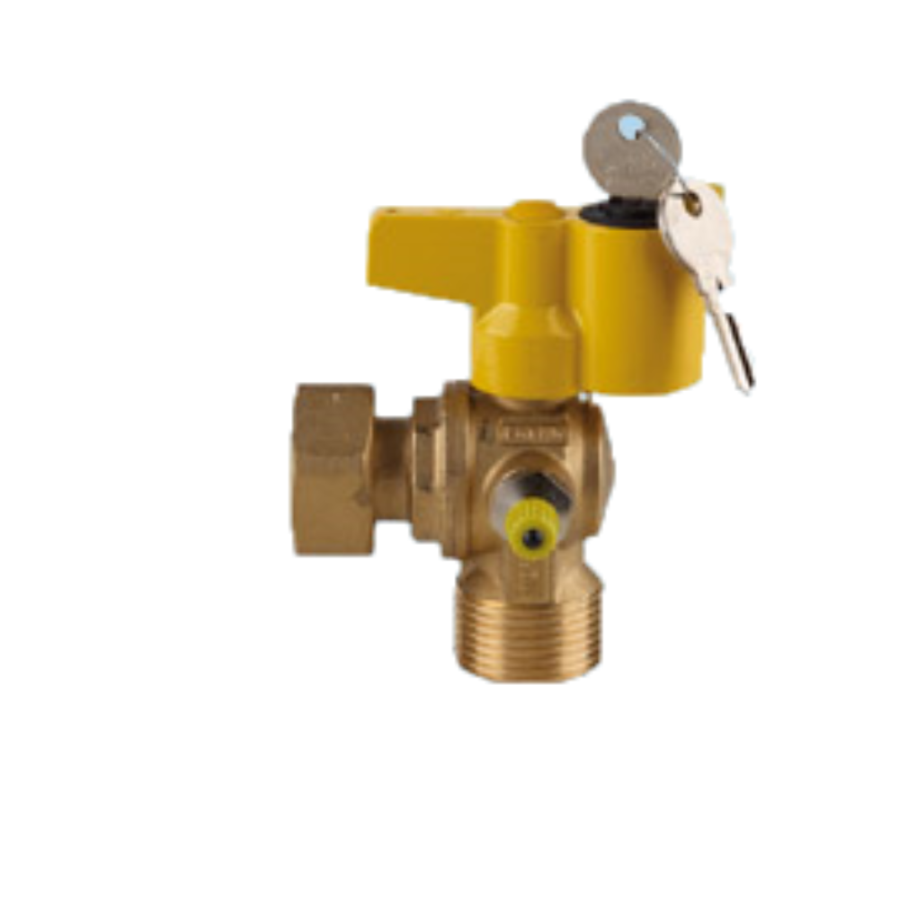 Valvola Per Bombola Campione NPT Maschio 1/4" X NPT Femmina 1 - Foto 11