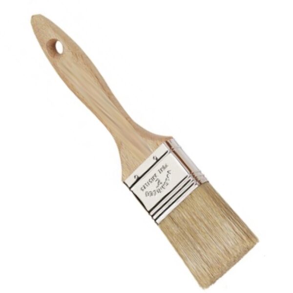 pennellessa americana