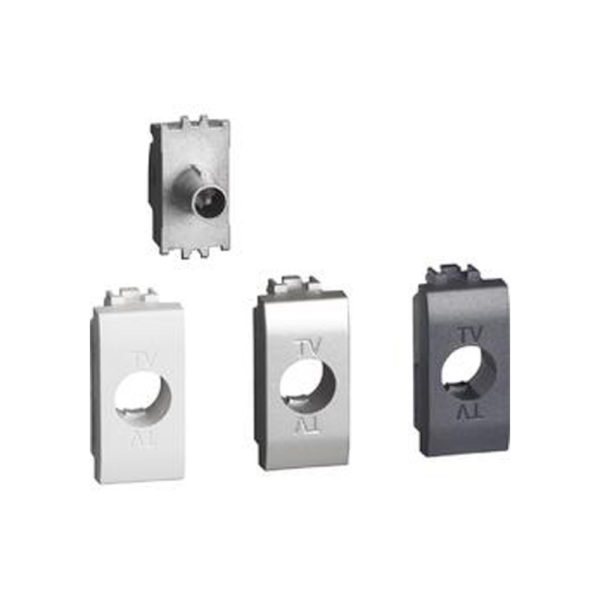 Presa Coassiale Diretta Livinglight BTicino