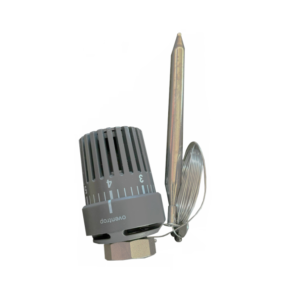 2025-02-05 09.27.47 immagine lara